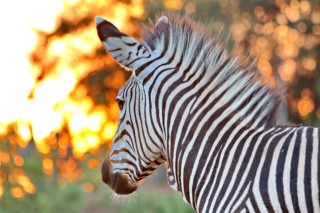 The Hidden Bays of South Africa’s Eastern Cape